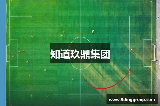 知道玖鼎集团